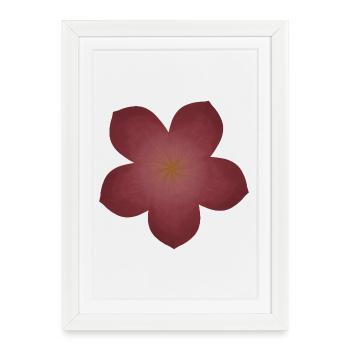 Design élégant de fleur de fleur - Affiche encadrée (27 × 37 cm) - blanc - Devant