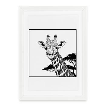 Girafe africaine - Affiche encadrée (27 × 37 cm) - blanc - Devant