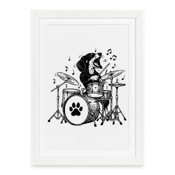 Teckel musical Drummer Art - Affiche encadrée (27 × 37 cm) - blanc - Devant
