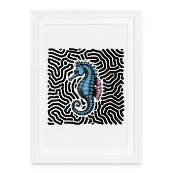 Sea horse - Framed poster (27 × 37 cm) - white - Front