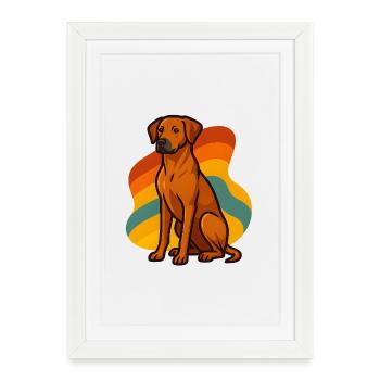 Retro Rhodesian Ridgeback Dog - Framed poster (27 × 37 cm) - white - Front