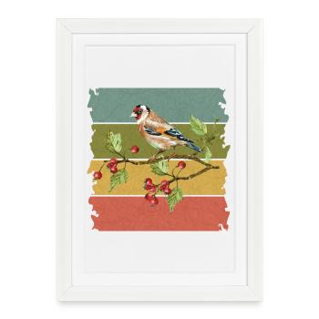 Oiseau coloré - Affiche encadrée (27 × 37 cm) - blanc - Devant