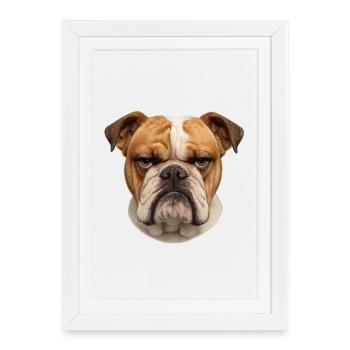Bulldog Regarde, Hard Serenity - Affiche encadrée (27 × 37 cm) - blanc - Devant