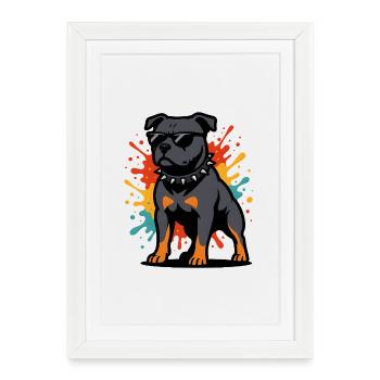 Color explosion Staffordshire Dog with glasses - Framed poster (27 × 37 cm) - white - Front