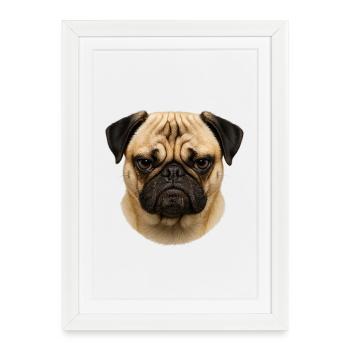 Pug Face Portrait - Framed poster (27 × 37 cm) - white - Front