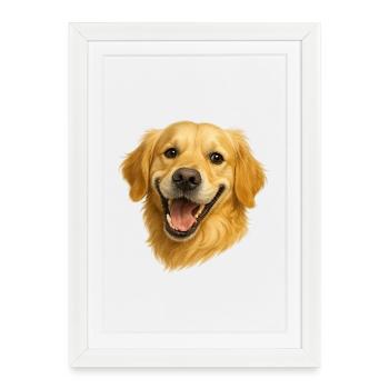 Cheerful Golden Retriever Head - Framed poster (27 × 37 cm) - white - Front