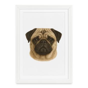 Pug Gesicht Portraet Illustration - Gerahmtes Poster (27 × 37 cm) - Weiß - Vorne