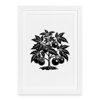 Plante de tomate - Affiche encadrée (27 × 37 cm) - blanc - Devant