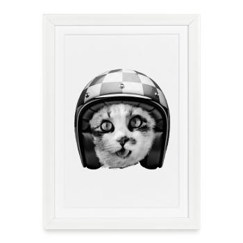 Casque de course de chat motard - Humour drôle d’animaux de compagnie - Affiche encadrée (27 × 37 cm) - blanc - Devant