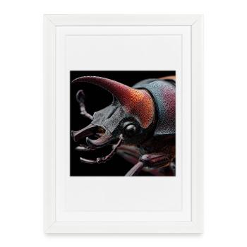 Portrait macro du scarabée rhinocéros Graphique de faune - Affiche encadrée (27 × 37 cm) - blanc - Devant