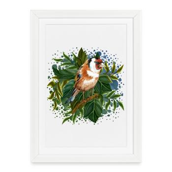 Oiseau coloré - Affiche encadrée (27 × 37 cm) - blanc - Devant