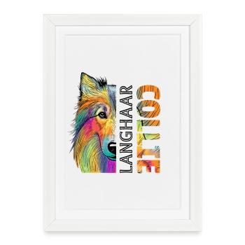 colley - Affiche encadrée (27 × 37 cm) - blanc - Devant