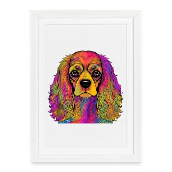 Cavalier King Charles Spaniel - Affiche encadrée (27 × 37 cm) - blanc - Devant