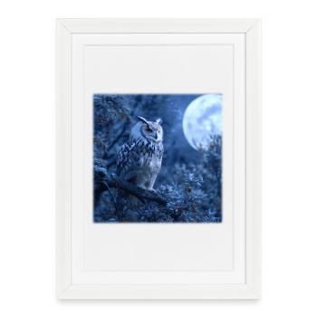 Snowy Owl Full Moon Night Magical Winter Night - Framed poster (27 × 37 cm) - white - Front