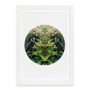 Nature creatures in the reeds - Framed poster (27 × 37 cm) - white - Front