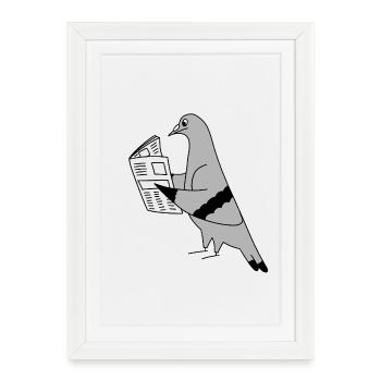 Pigeon Reading a Newspaper – Urban Minimal Illustr - Framed poster (27 × 37 cm) - white - Front