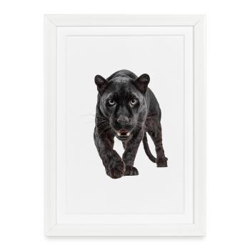 Schwarzer Panther – Kraft, Fokus, Dominanz - Affiche encadrée (27 × 37 cm) - blanc - Devant