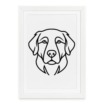 Profil de tête de chien labrador - Affiche encadrée (27 × 37 cm) - blanc - Devant