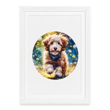 Aussiedoodle au soleil - Affiche encadrée (27 × 37 cm) - blanc - Devant