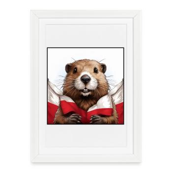 Drapeau de la Pologne du Beaver - Affiche encadrée (27 × 37 cm) - blanc - Devant