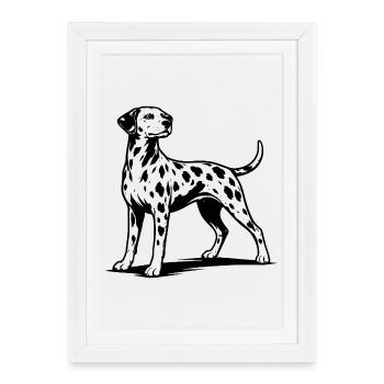 Dalmatian Portrait Black - Framed poster (27 × 37 cm) - white - Front