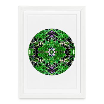 Nature Mandala Erlenstegen - Framed poster (27 × 37 cm) - white - Front
