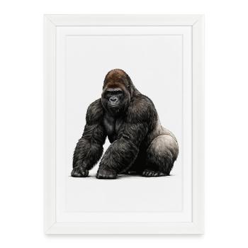 Gorilla Wildlife Animal - Framed poster (27 × 37 cm) - white - Front