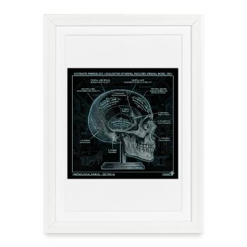 Skull Phrenology Diagram Art - Framed poster (27 × 37 cm) - white - Front
