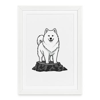 Samoyed Dog on Rock Portrait White Smile - Framed poster (27 × 37 cm) - white - Front
