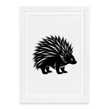 Porc-épic - Affiche encadrée (27 × 37 cm) - blanc - Devant
