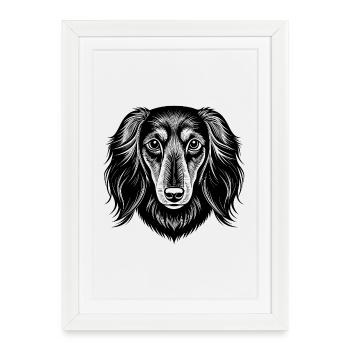Teckel aux longs cheveux - Affiche encadrée (27 × 37 cm) - blanc - Devant