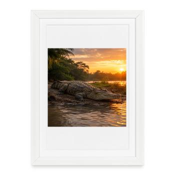 Sunset and crocodile by the river - Framed poster (27 × 37 cm) - white - Front