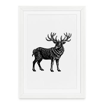 Elk - Affiche encadrée (27 × 37 cm) - blanc - Devant