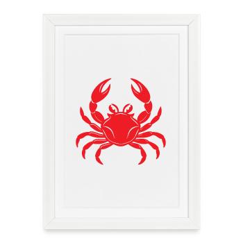 Crabe - Affiche encadrée (27 × 37 cm) - blanc - Devant