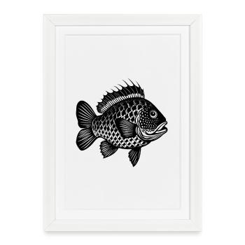 Crappie Fish - Framed poster (27 × 37 cm) - white - Front