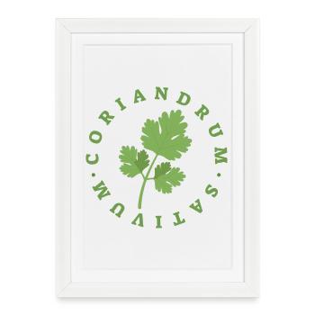 Coriander Circular Leaf Emblem - Framed poster (27 × 37 cm) - white - Front