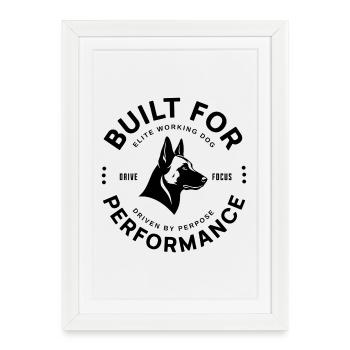 Malinois - Chien de travail d’élite - Affiche encadrée (27 × 37 cm) - blanc - Devant