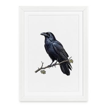 Common Raven - Corvus corax - Dark Academia - Framed poster (27 × 37 cm) - white - Front