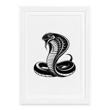 Serpent cobra - Affiche encadrée (27 × 37 cm) - blanc - Devant