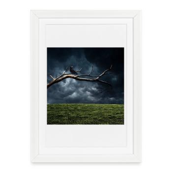 Branche de minuit avec le Corbeau - Affiche encadrée (27 × 37 cm) - blanc - Devant