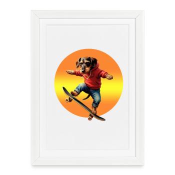 Skateur teckel Oscar en sweat à capuche - Affiche encadrée (27 × 37 cm) - blanc - Devant