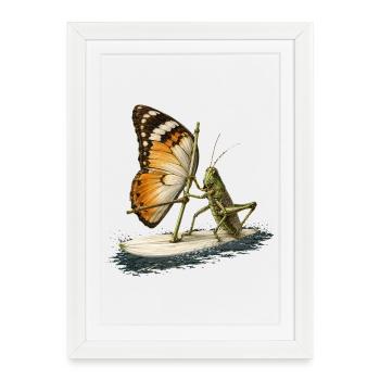 Sauterelle sur planche de surf avec une voile papillon - Affiche encadrée (27 × 37 cm) - blanc - Devant