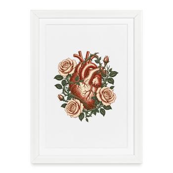 Cœur anatomique vintage avec des roses – Art gothique - Affiche encadrée (27 × 37 cm) - blanc - Devant