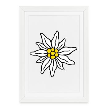 Edelweiss I - Affiche encadrée (27 × 37 cm) - blanc - Devant
