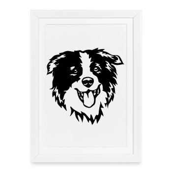 Tête de border collie - Affiche encadrée (27 × 37 cm) - blanc - Devant