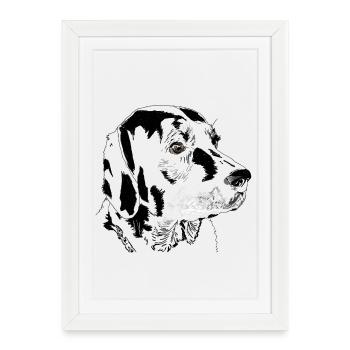 Labrador - Affiche encadrée (27 × 37 cm) - blanc - Devant