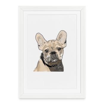 Français Bulldog - Affiche encadrée (27 × 37 cm) - blanc - Devant