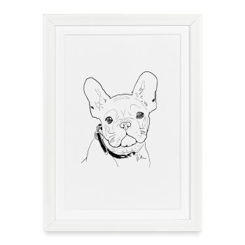 Français Bulldog - Affiche encadrée (27 × 37 cm) - blanc - Devant