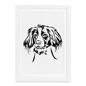Tête Epagneul Bretonne - Affiche encadrée (27 × 37 cm) - blanc - Devant