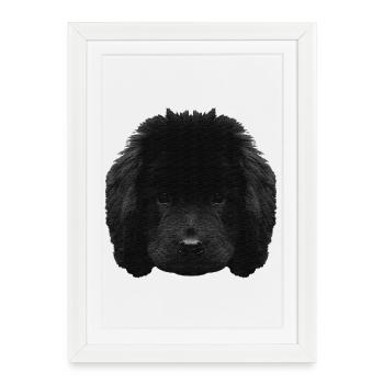 Chiot mignon, chiot Terre-Neuve, races de chiens - Affiche encadrée (27 × 37 cm) - blanc - Devant